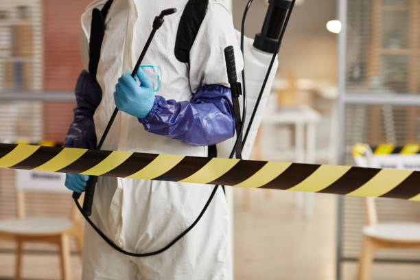 Professional Sewage Cleanup technician working in Huntington, TX