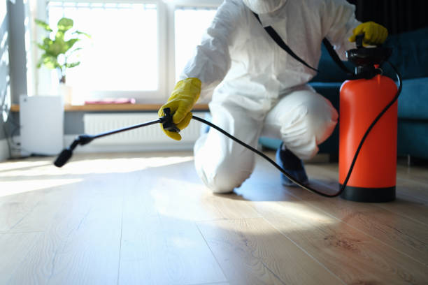 Reliable Sewage Cleanup contractor in Huntington, TX by Trauma Clean Pros